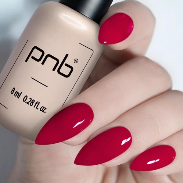 Гел лак PNB 8 мл 210